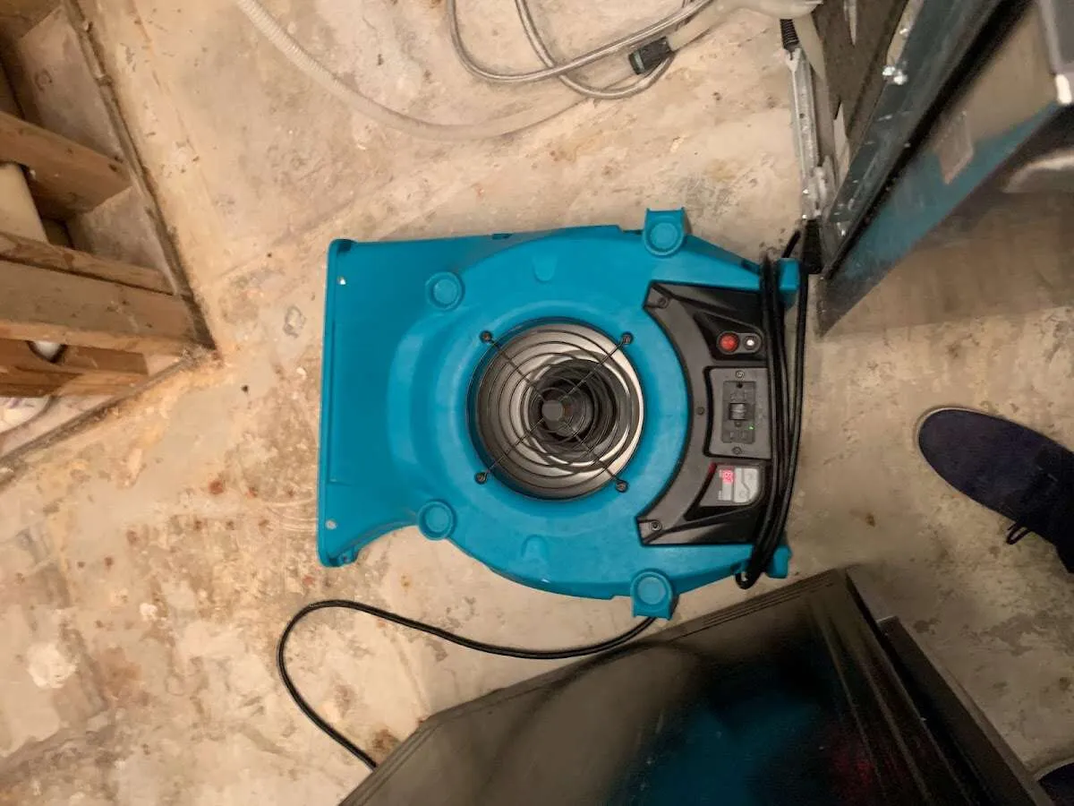 Air mover drying equipment for Mold Remediation & Removal in Westport