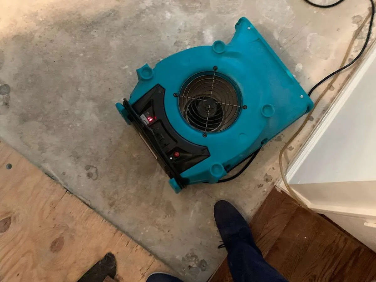 Air mover drying subfloor during Leak Detection & Repair in Westport